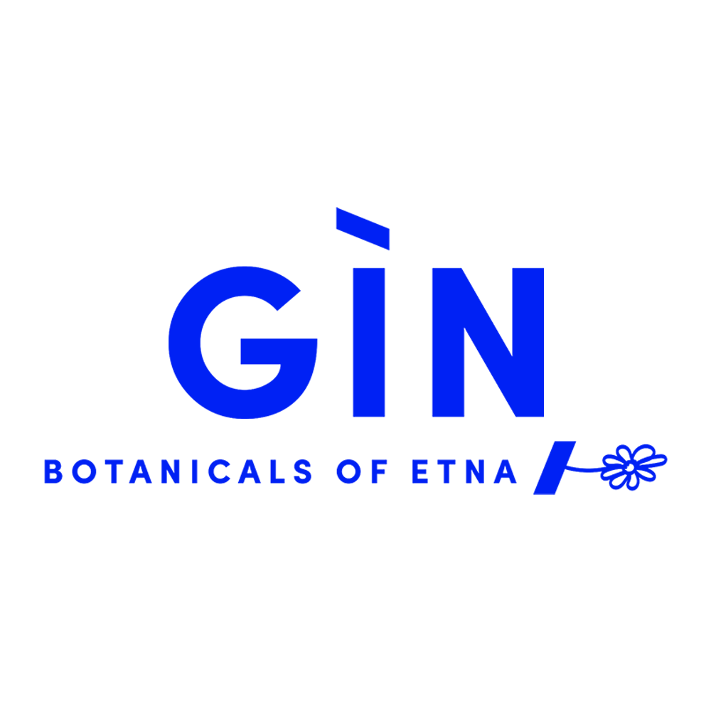logo 7